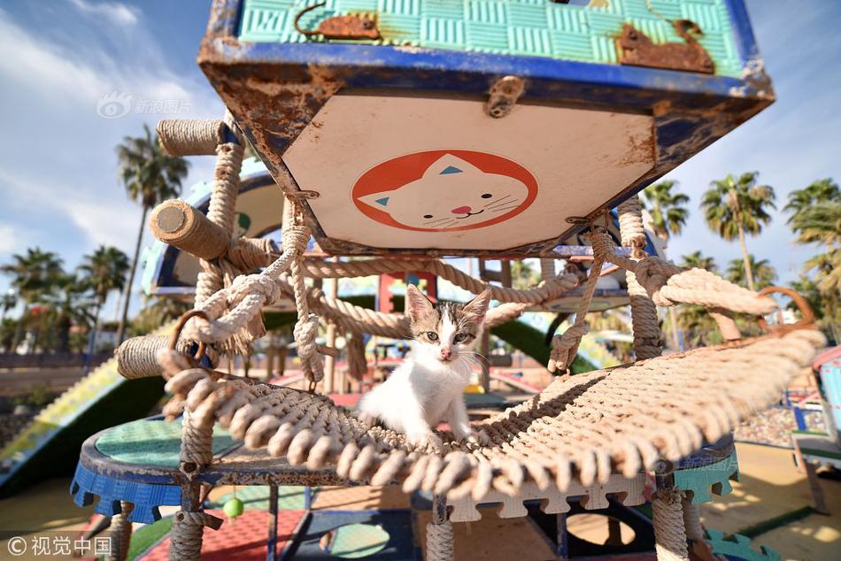 A hospital hired more doctors to reduce wait times for appointments