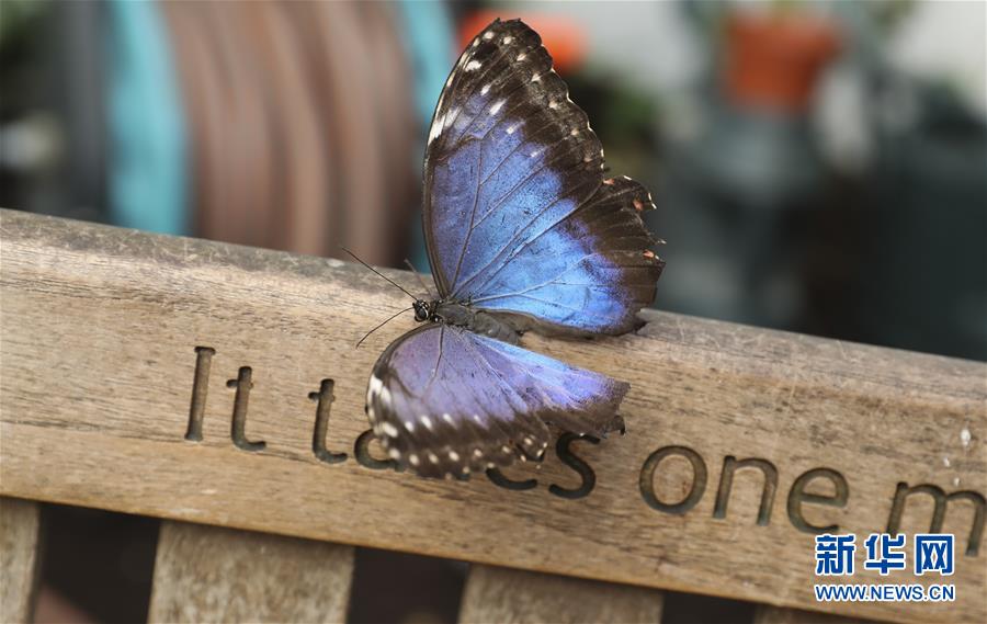 A bookstore hosted a book signing with a best selling author of mystery novels