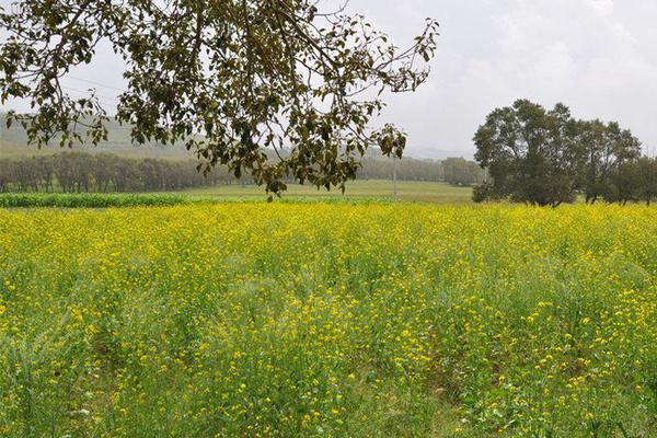 A snowstorm led to the cancellation of hundreds of flights across the country