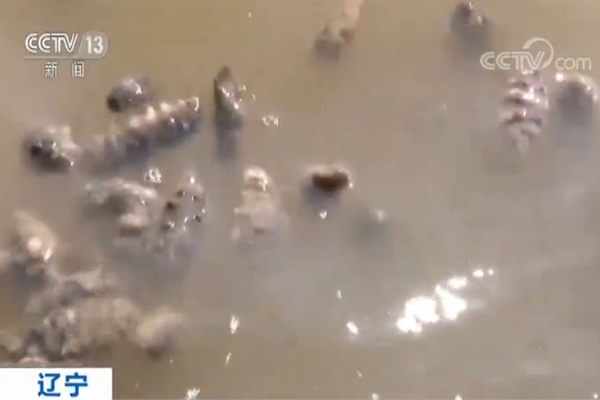 A sports equipment store opened a new location in a suburban shopping mall, creating 15 new jobs