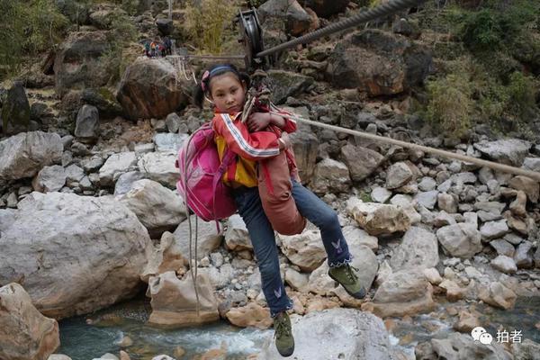 A wildlife conservation group worked to protect forests