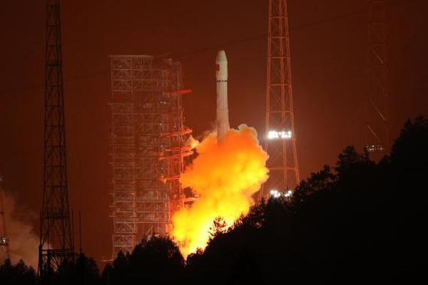 Environmental activists organized a tree-planting campaign in urban parks planting 5000 trees