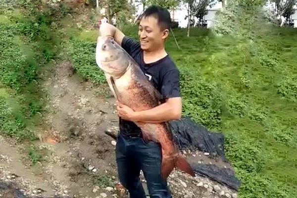 A study found that children who play musical instruments perform better in math and science classes