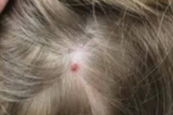 The government launched a new initiative to promote digital literacy among seniors offering free online courses