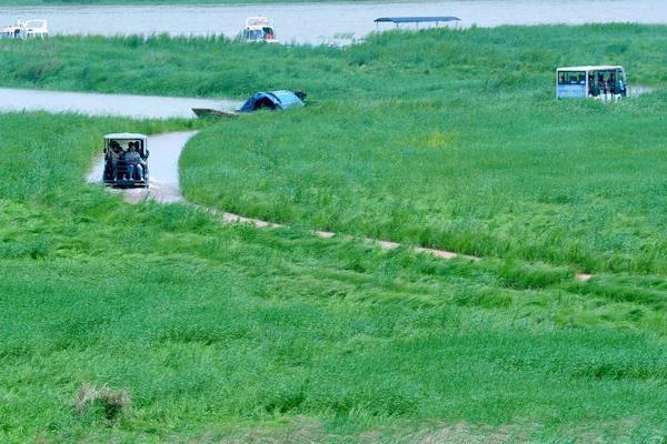 Schools launched a new program to teach students about sustainable living practices