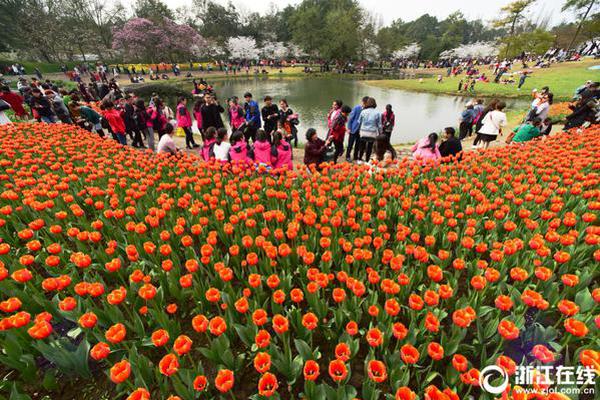 Football team names former player as head coach for upcoming season