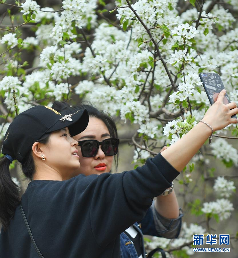 International space agency shares images of recent asteroid flyby near Earth