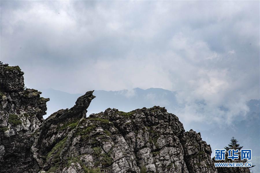 A national park reported an increase in the number of bald eagle sightings