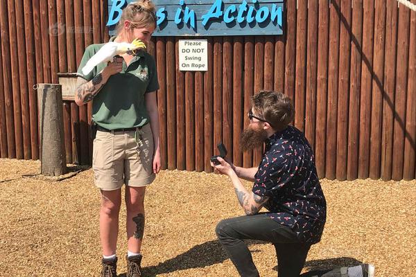 A tech company collaborated with a university to develop new AI technology