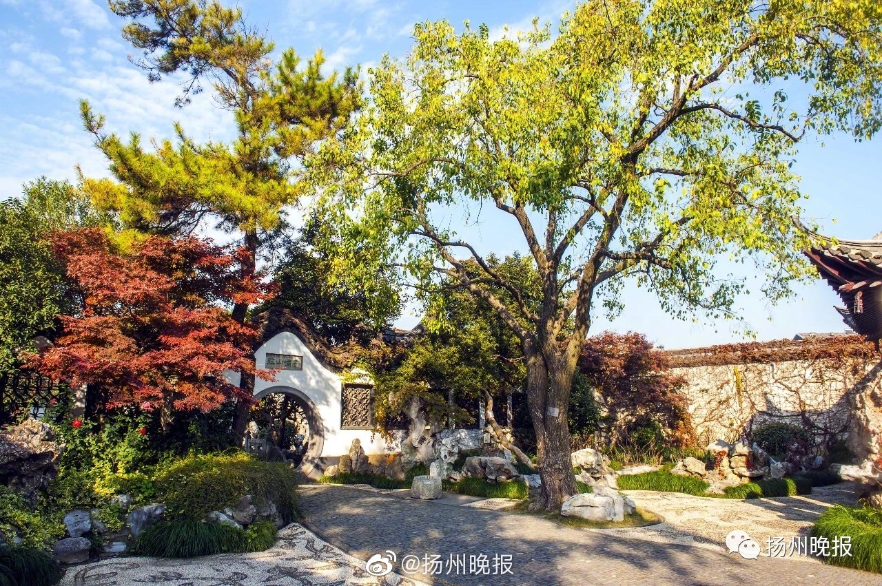 Research indicates that early reading programs reduce literacy gaps in preschoolers