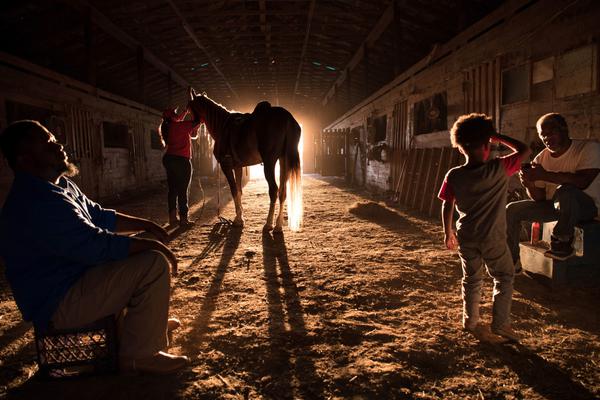 Mathematicians solve complex problem in number theory