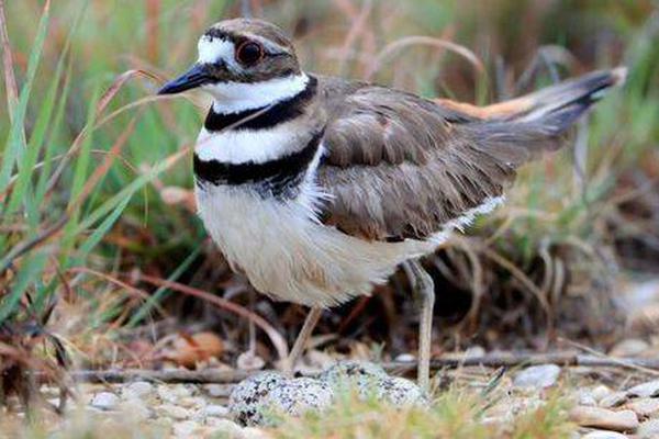 A Grammy-winning musician announced a world tour to promote their new album