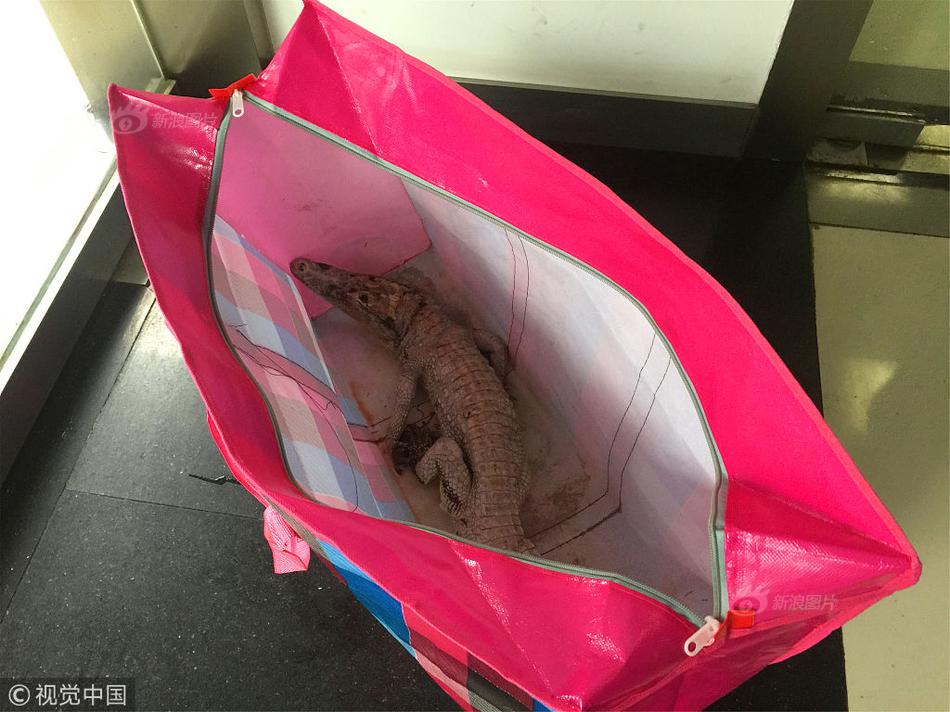 A software company updated its program to work with new operating systems