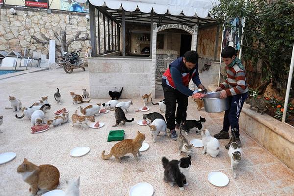 A tech company announced a partnership with a hospital to develop medical AI tools