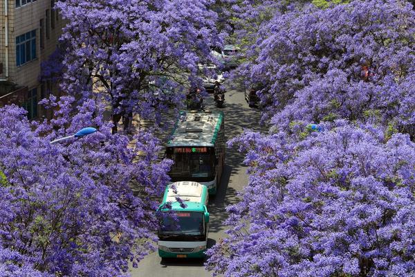 A tech company launched a new smartwatch that monitors heart rate variability