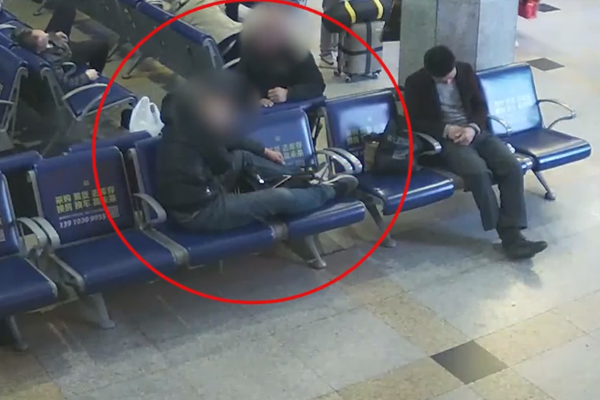 Park rangers offer guided hikes to teach visitors about native plants