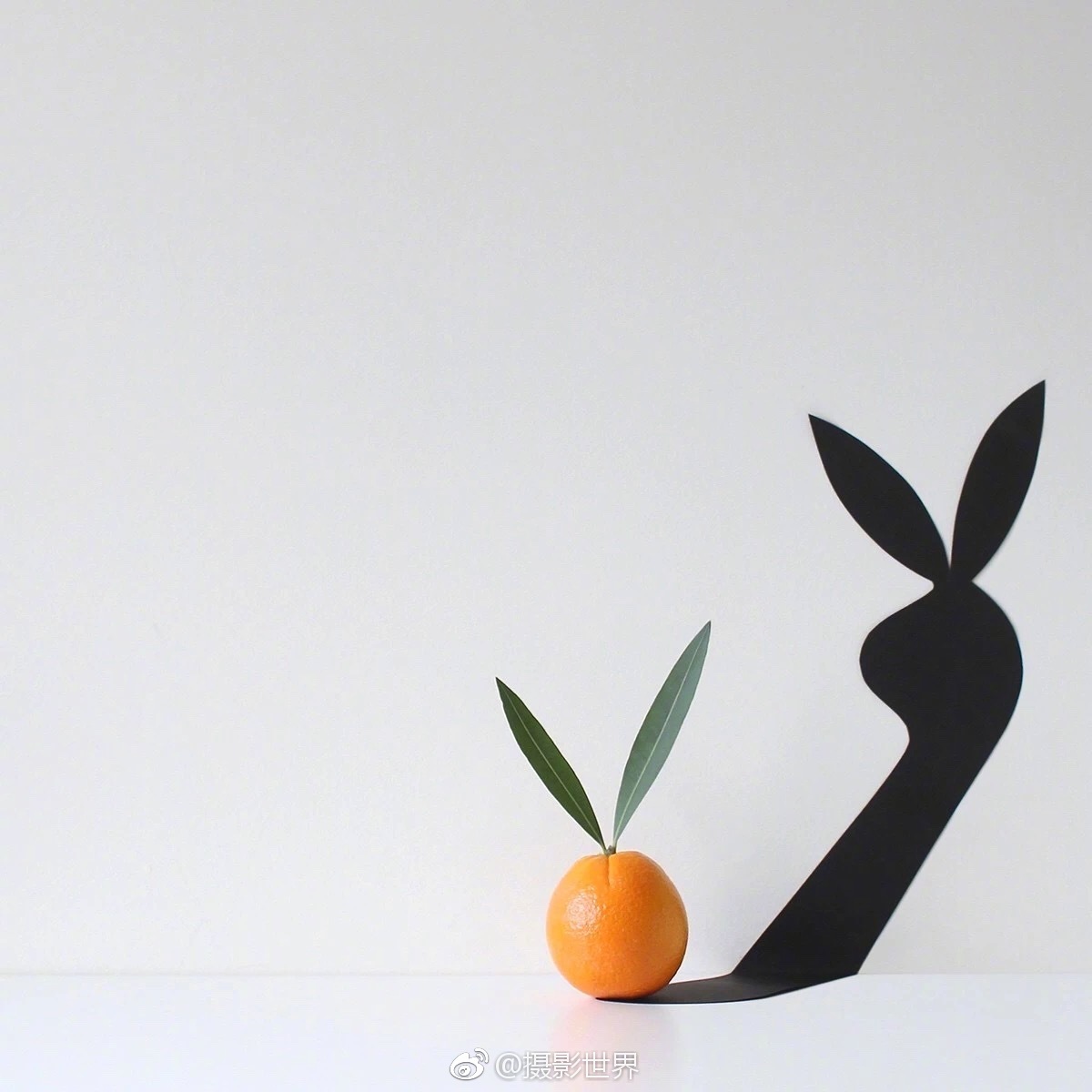 A construction company began work on a new apartment building that will include 200 affordable units