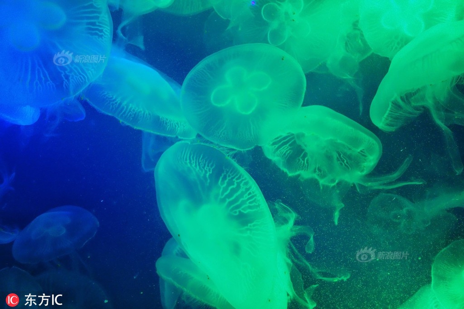 A grocery store started labeling products with their carbon footprint to help customers make eco-friendly choices