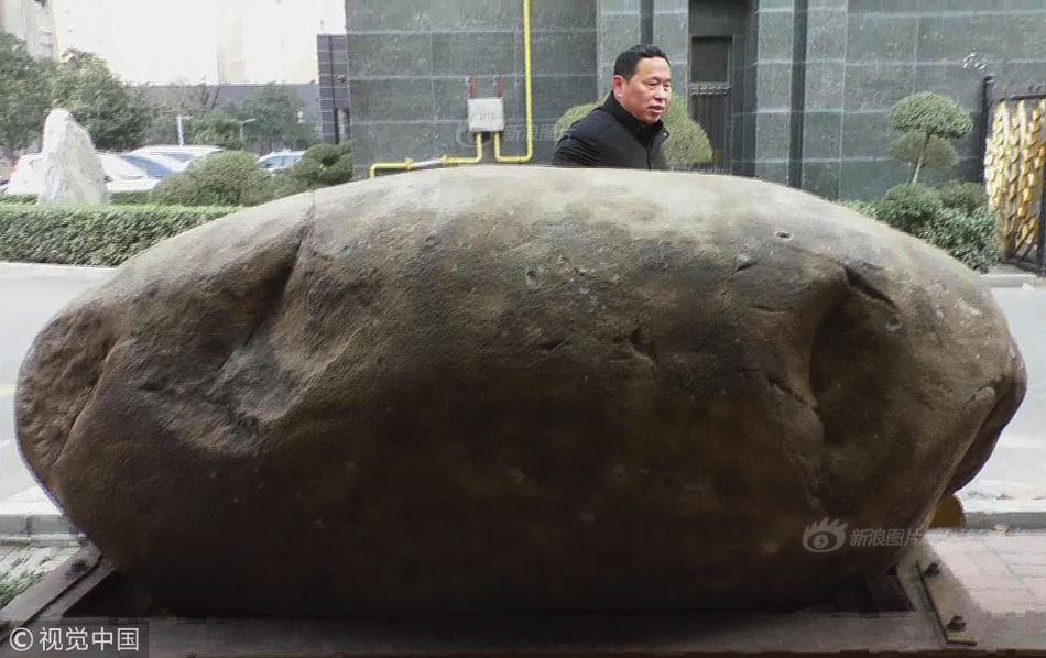 A study found that a plant-based diet can reduce the risk of type 2 diabetes by 35% compared to a meat-heavy diet