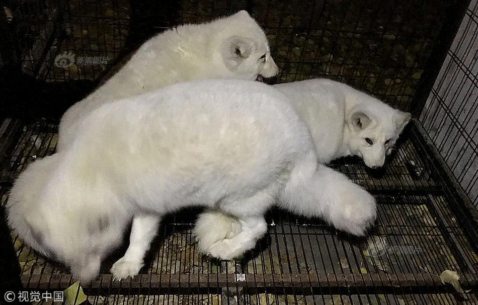 The local museum hosted a night at the museum event with special tours and activities