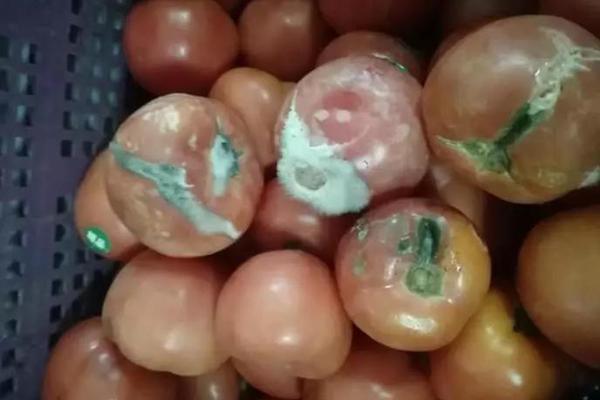 A bookstore hosted a poetry reading with local poets