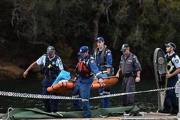 A tech startup launched an app that helps users track their carbon footprint and reduce waste