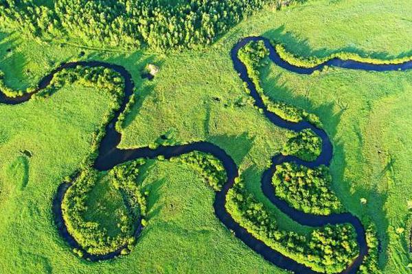 The national volleyball team won the continental championship beating their opponent in three sets