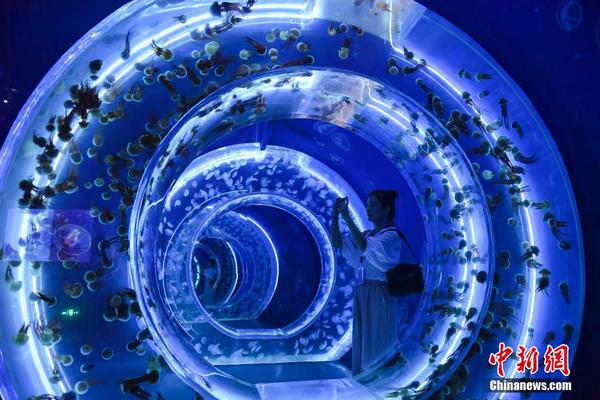 A tech startup raised $220 million in a new funding round valuing the company at over $1.2 billion