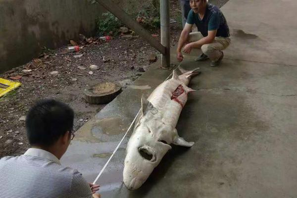 A local farmers’ market started selling homemade jams and preserves made from local fruits