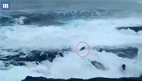 The stock market reached a new all-time high on Thursday driven by strong earnings from tech and healthcare companies