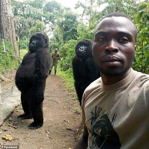 The city introduced a bike-sharing program with more stations