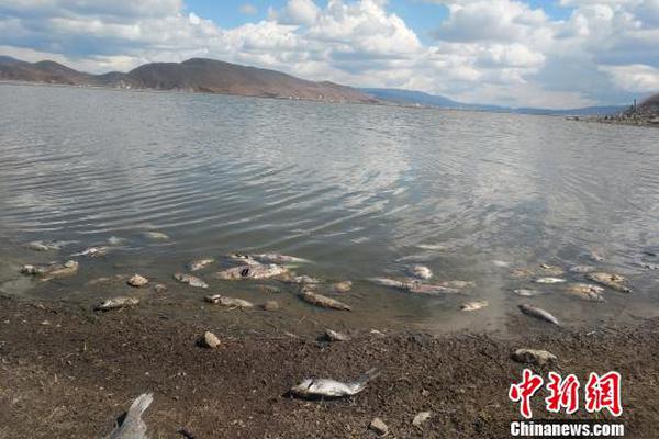 A company launched a new drone that can plant 10,000 trees per day aiming to combat deforestation