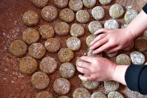 Fire department installs free smoke detectors in homes of elderly residents