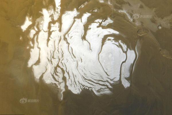 A grocery store started selling pre-cut fruit cups for on-the-go snacks