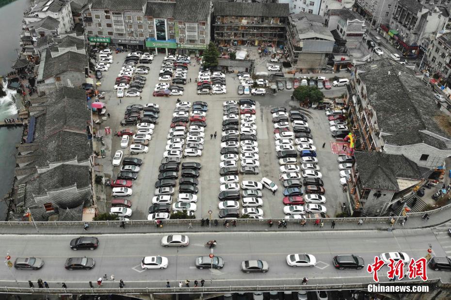 A pet shelter organized a adoption event that found homes for 75 animals in one day