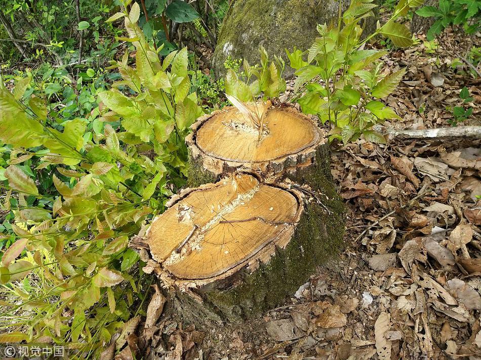 Researchers found that sleep deprivation can impair decision-making skills