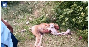 The national rugby team announced a new captain for the upcoming season