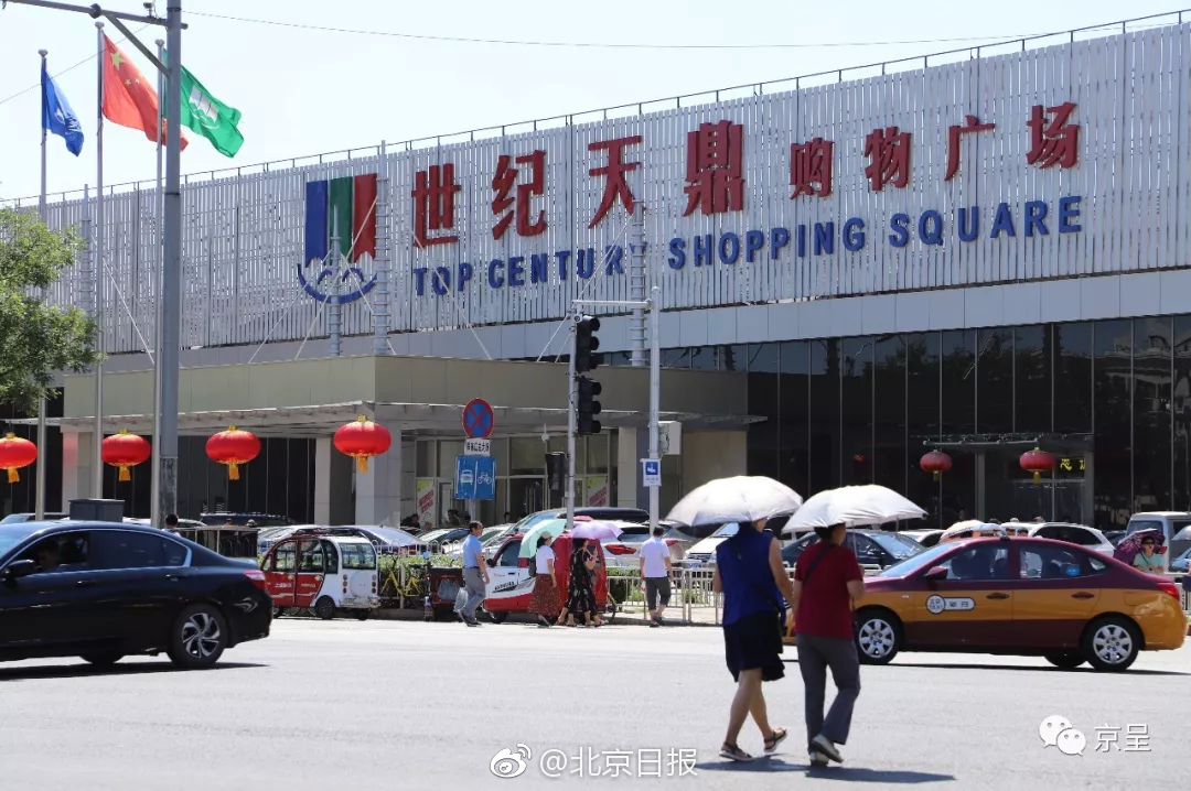 Scientists discovered a new species of bird in a tropical rainforest with unique plumage