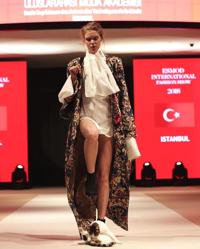 A company launched a new drone that can plant 10,000 trees per day aiming to combat deforestation