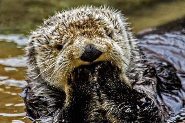 A coffee shop started offering bring your own mug discounts to reduce disposable waste