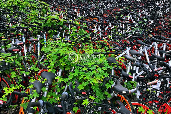 The school board decided to add more mental health counselors to all middle and high schools