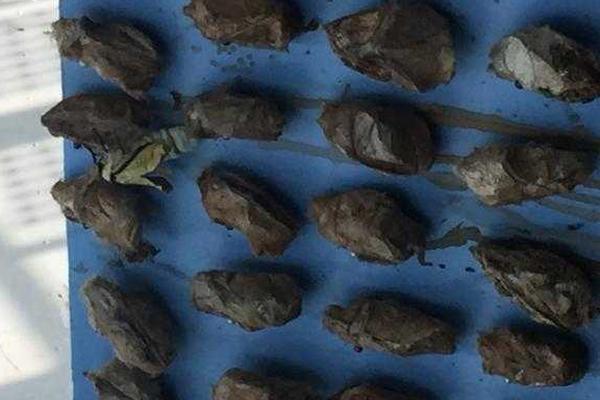 Researchers calculated that recycling one ton of paper saves 17 trees and 7000 gallons of water