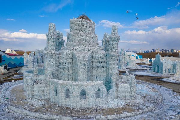 A new species of fish was identified in a freshwater lake