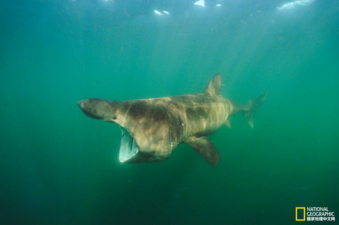 A major music festival was canceled due to safety concerns after a severe weather warning was issued