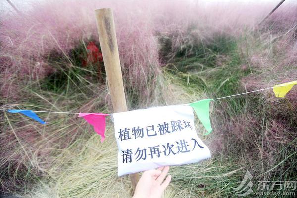 A local bookstore hosted a series of events with authors discussing their latest works