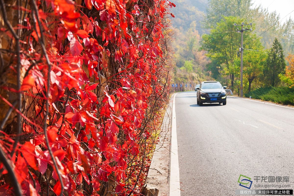 The military sent helicopters to rescue stranded hikers after a sudden snowstorm in the mountains