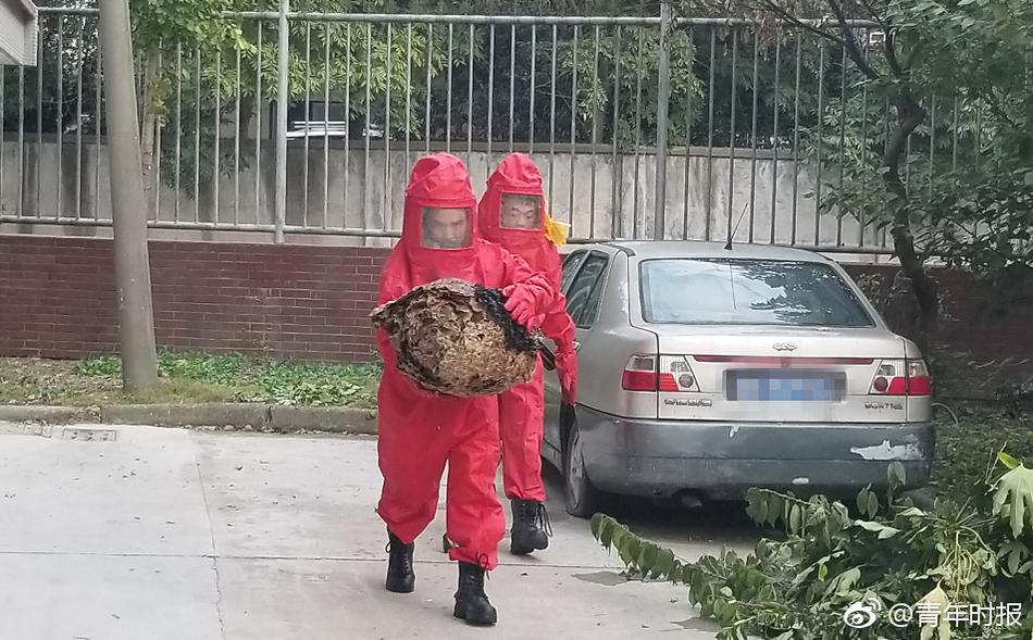 A supermarket chain started selling “imperfect” fruits and vegetables at discounted prices