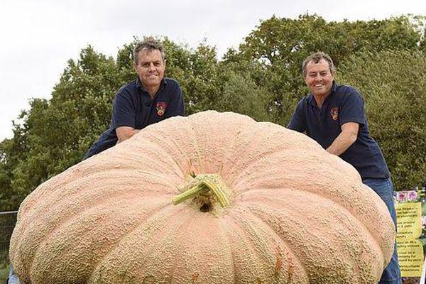 A renowned author released a new novel that explores the impact of climate change on coastal communities