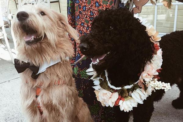 Tech giant Google unveiled a new AI tool designed to assist teachers in creating lesson plans