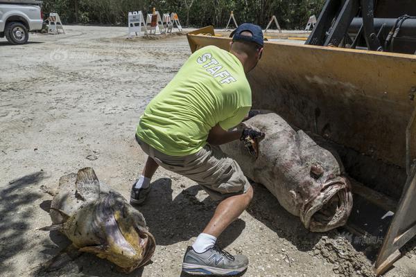 A community garden hosted a